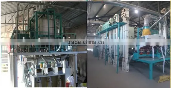 30T/Day Maize Flour Production Plant Corn Flour Milling Line Crusher Grinding Machine photo-3