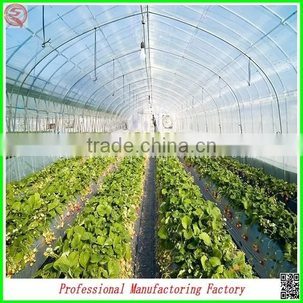Customer Design Commercial Glass Greenhouses for Roses/strawberry/tomatoes Planting photo-5