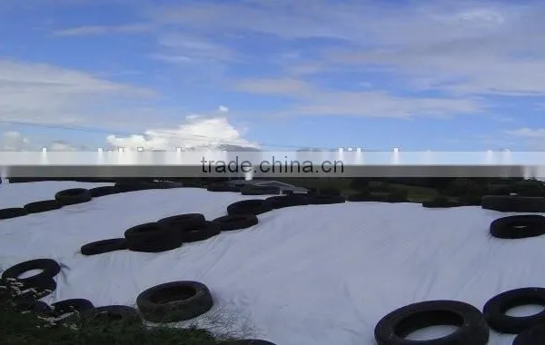 Green/white, Green/white Silo Cover photo-2