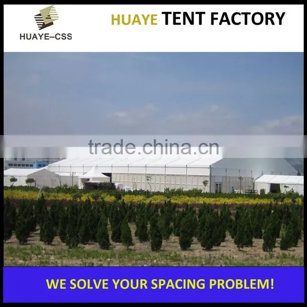 High Quality Carpas de Eventos China for Sale photo-5