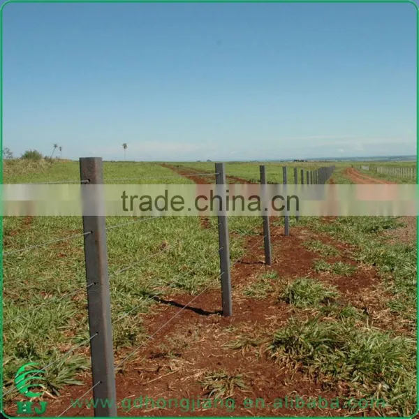 Living Wall Support Stake photo-2