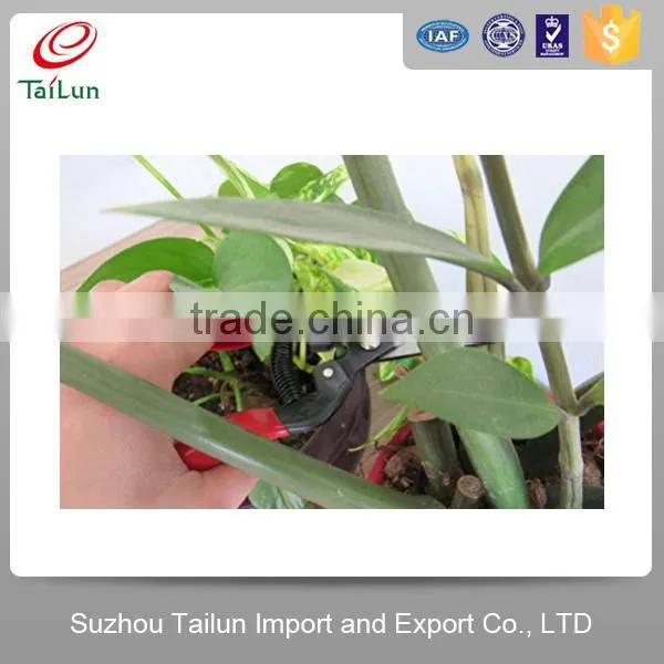 Garden Pruning Shears/carbon Steel Scissor/grape Scissors Pruning Shears photo-3
