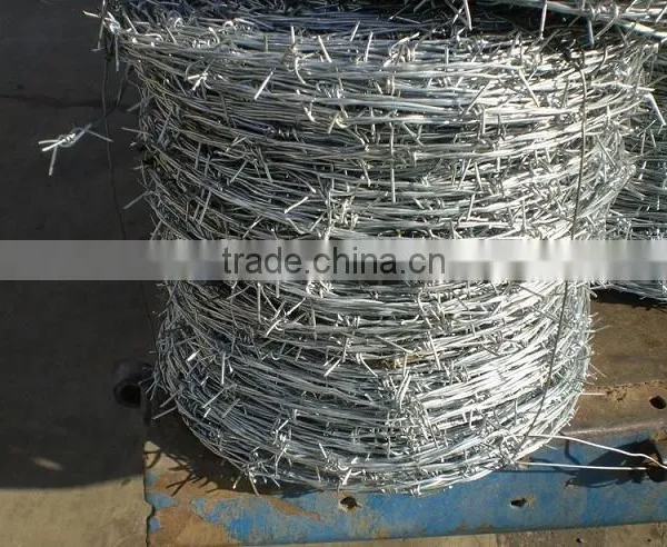 Top Selling Products Wall Spike Wire Electric Fence Wire photo-2