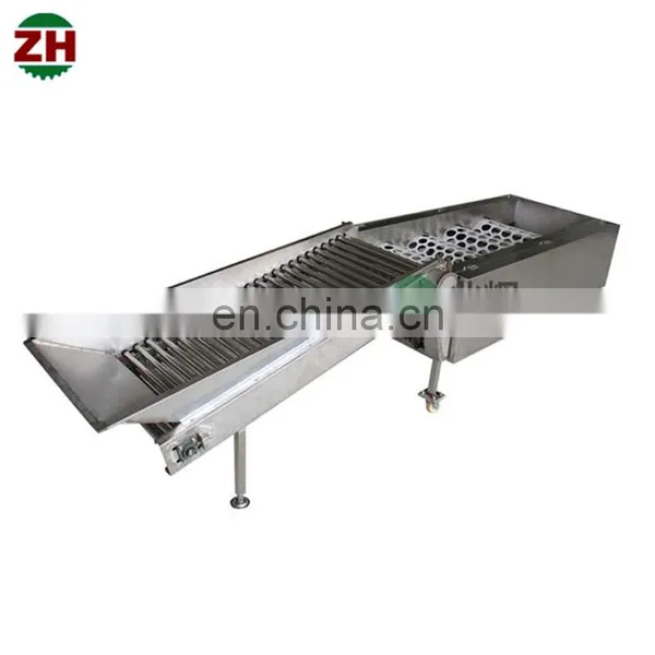 Fruit and Vegetable Sorting Machine Fruit Size Sorting Machine Apple Grading Machine photo-3