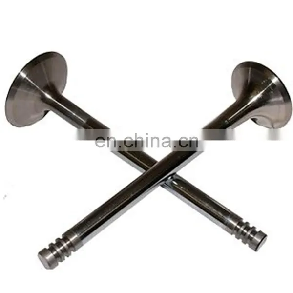 Auto Parts Manufacturing Black Nitride Tufftride Engine Valves For IVECO 345HP In 61320722 Ex 61321255 photo-5