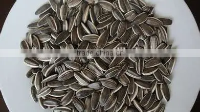 Hulled Sunflower Seeds photo-2