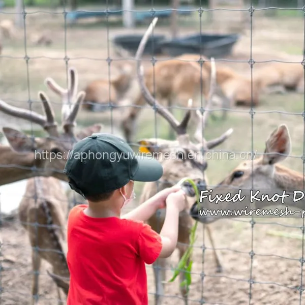 Farm Fence Field Fence Goat Cattle Deer Stock Fencing Grassland Hinge Joint Fixed Knot Fence High Tensile Strenght photo-5