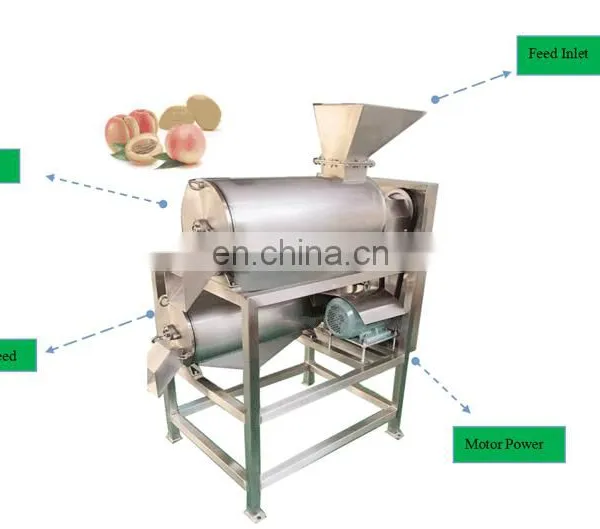 Electric Industrial Apple Peach Apricot Juicer Extractor Seeds Removing Pulp Machine photo-4