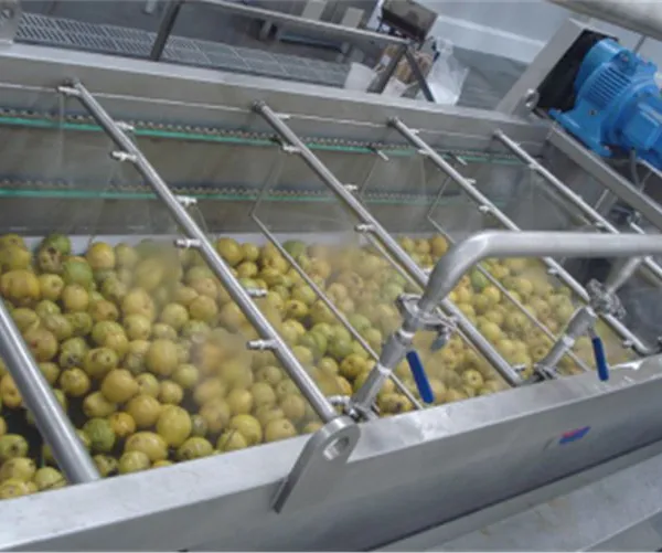 Rotary Roller Drum Fruit and Vegetable Washing Machine for Promotion photo-3