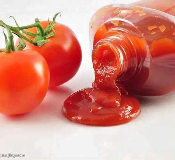 Small Capacity Tomato Ketchup Production Line Tomato Paste Making Machine Turkey photo-3