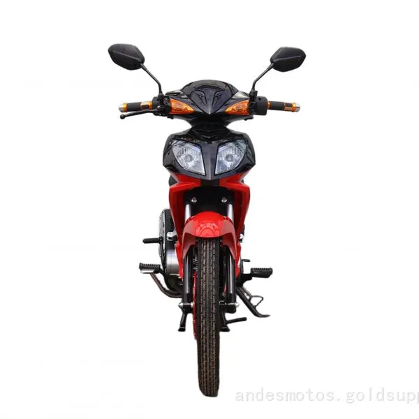 110cc Cub Motorcycle Uncerbone Motorcycle Alien A110I