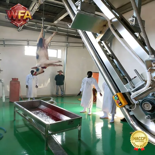 Pig Slaughtering Line Pork Slaughter Machine Swine Slaughterhouse Equipment Abattoir Processing System photo-2