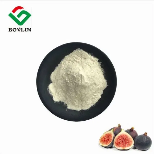 Fig Fruit Powder