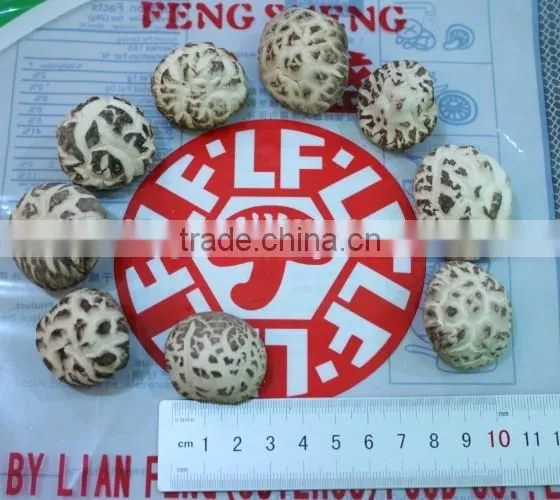 Dried Tea Flower Mushrooms photo-3