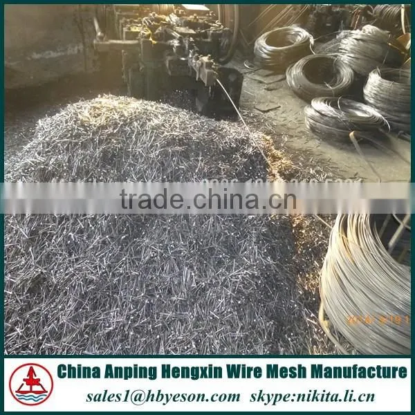 Common Wire Nails Supplier From China Special for Yemen Market photo-3