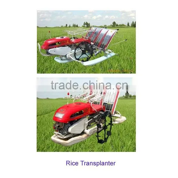 2Z-6300 Rice Transplanter Price photo-3