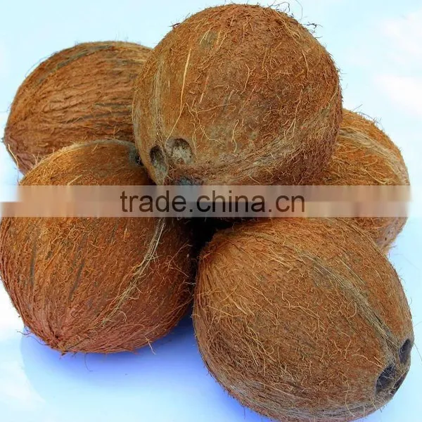 Fresh Semi Husked Coconut