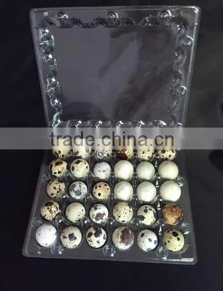 Good Quality Disposable Plastic Quail Eggs Tray 30 Holes Quality Choice photo-3
