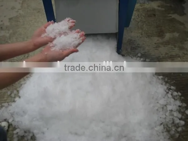 Stainless Steel Ice Block Crusher Machine for Philippines