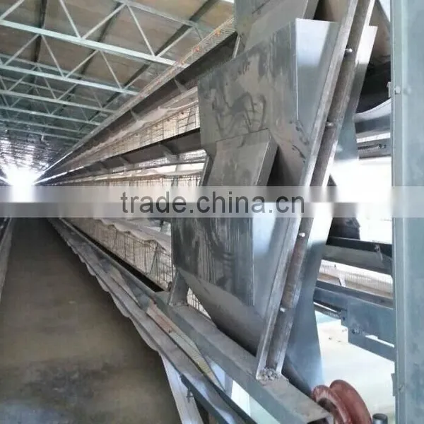 Chicken Layer Cage