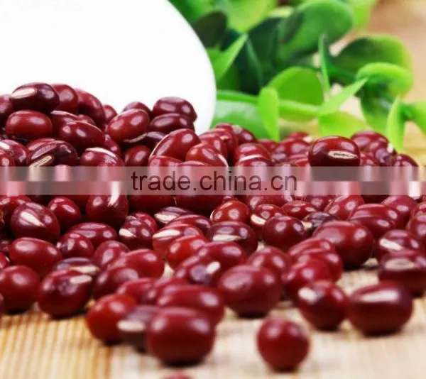 2016 New Crop Chinese Small Red Kidney Beans(Adzuki Beans) photo-2