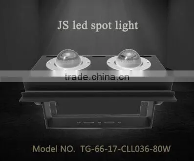 80W Led Spot Light. (TG-66-17-80w)