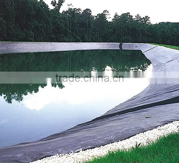 Good Quality Best Price Fish Farm Pond Liner HDPE Geomembrane photo-2
