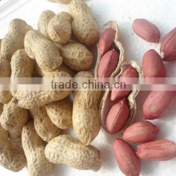 Raw Peanuts for Sale