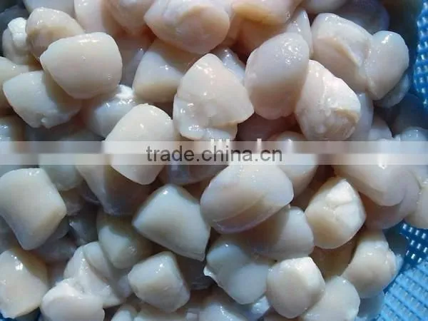 Frozen Shell Meat Scallop Meat photo-2