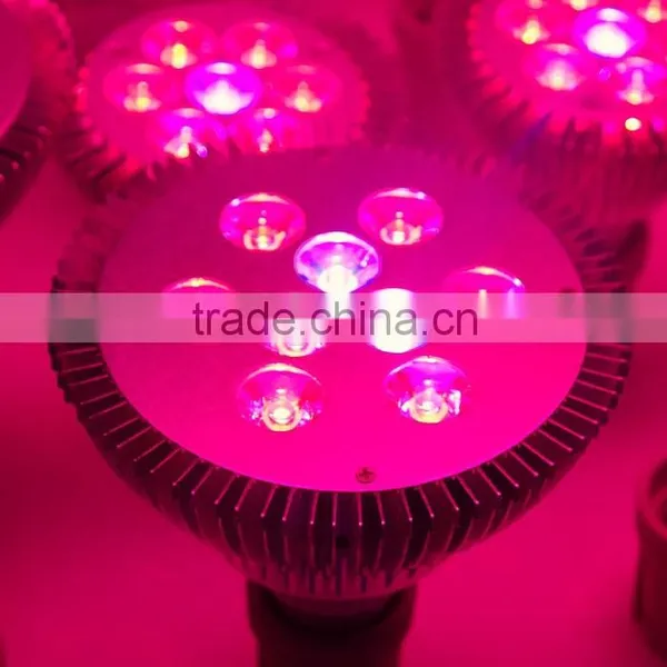 XQD 9w Full Spectrum LED Grow Light E27 Lamp Bulb for Medical Flower Veg Plant photo-2