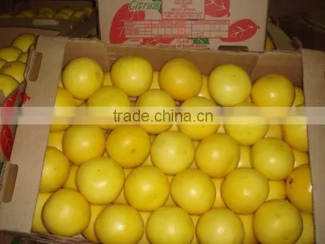 Yellow Grapefruit photo-2