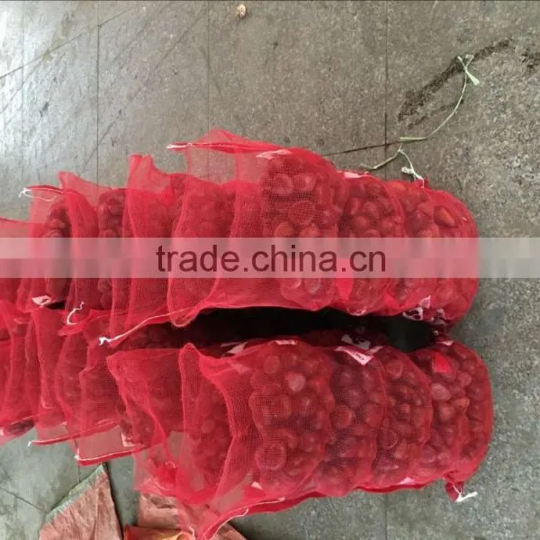 Fresh Chestnut China Origin 40-60pcs photo-5
