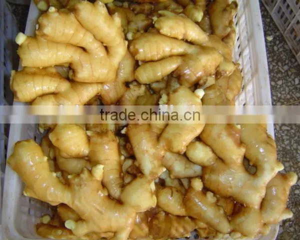 Fresh Washed Ginger photo-4