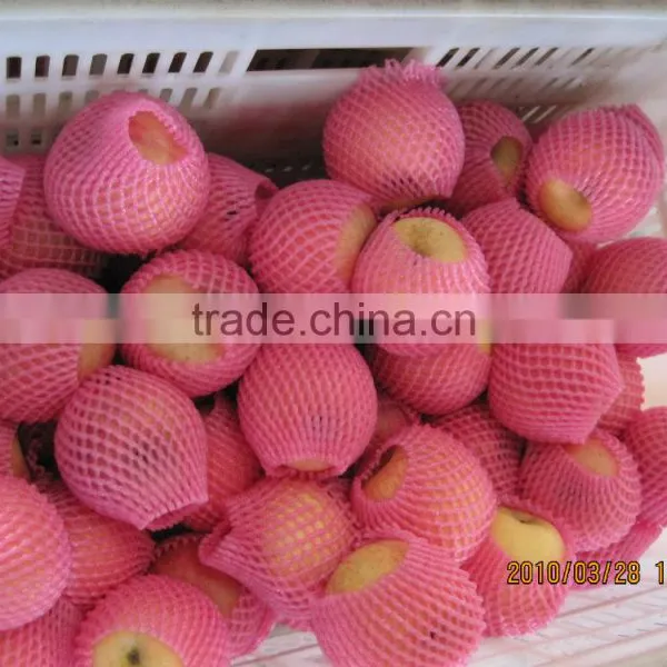 Fresh Apple photo-4