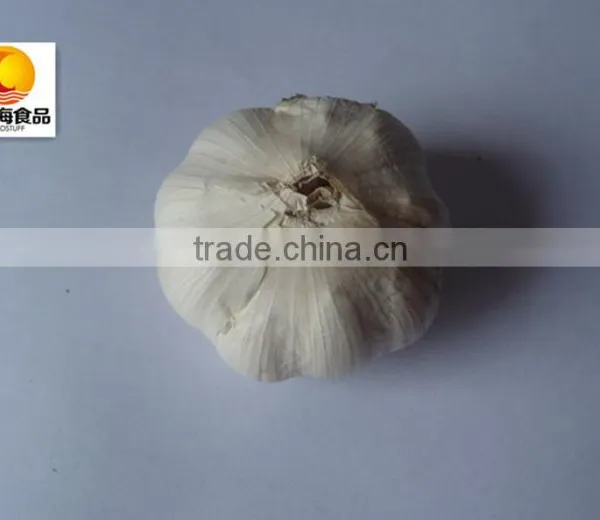 Dehydrated Vegetable Air Dried White Garlic