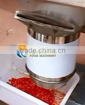 Industrial Large Type Garlic Grinding Machine photo-4