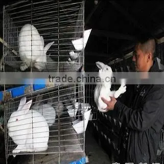 stackable rabbit cage