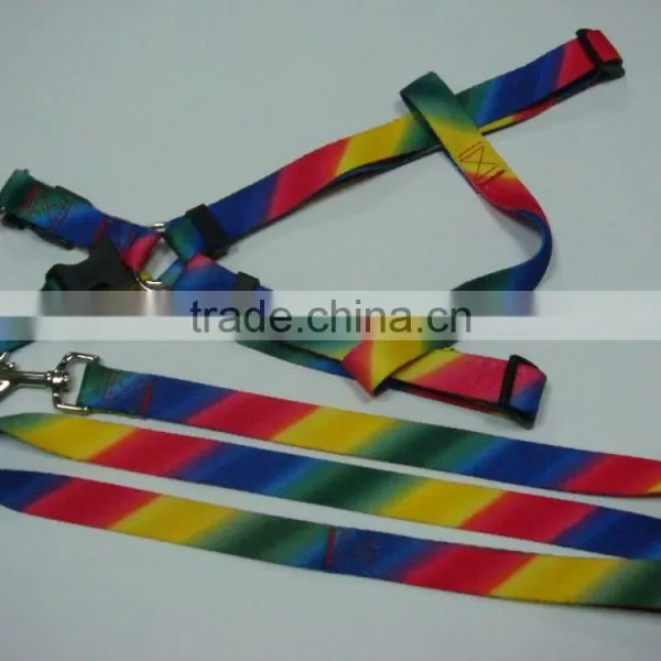 Rainbow Pet Products / Pet Dog Leashes and Collars photo-3