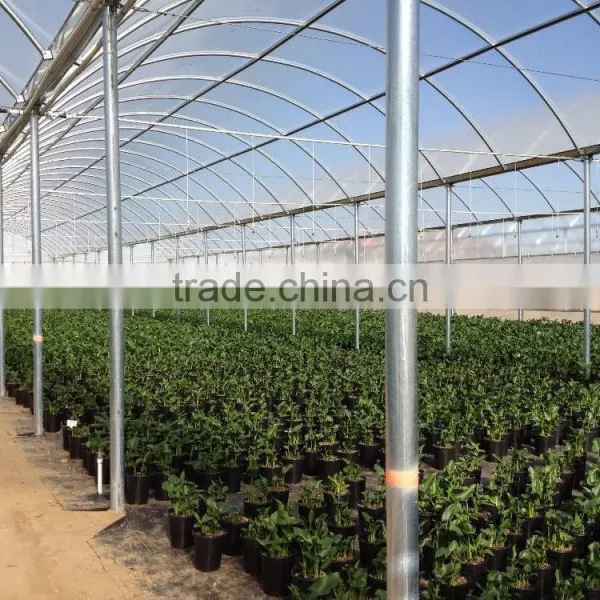 RoughBrothers PolyArch-RD2 Muli-span Galvanized Steel Frame Agricultural Greenhouse