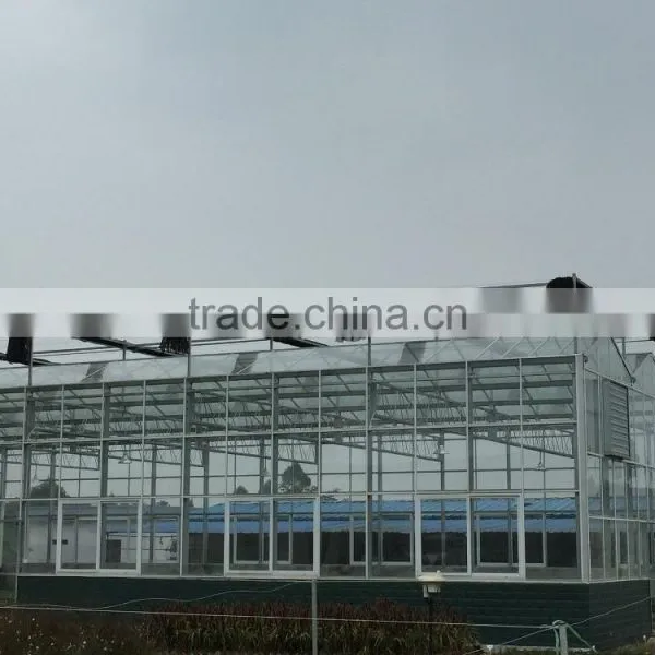 Galvanized Metal Steel Frame Material Greenhouse photo-5