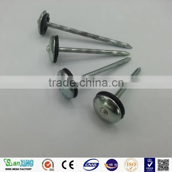 Best Quanlity 2.5 Inch and 3 Inch Roofing Nails photo-5
