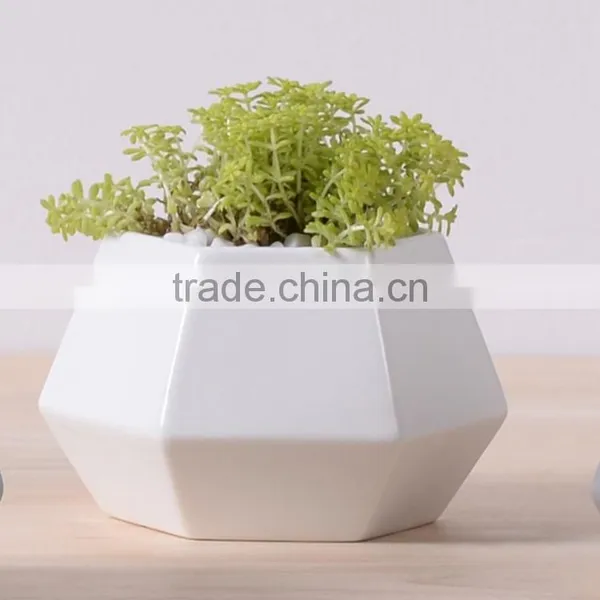 New Deign Small Hexagon Matte Porcelain Indoor Decorative Pots Planters photo-3