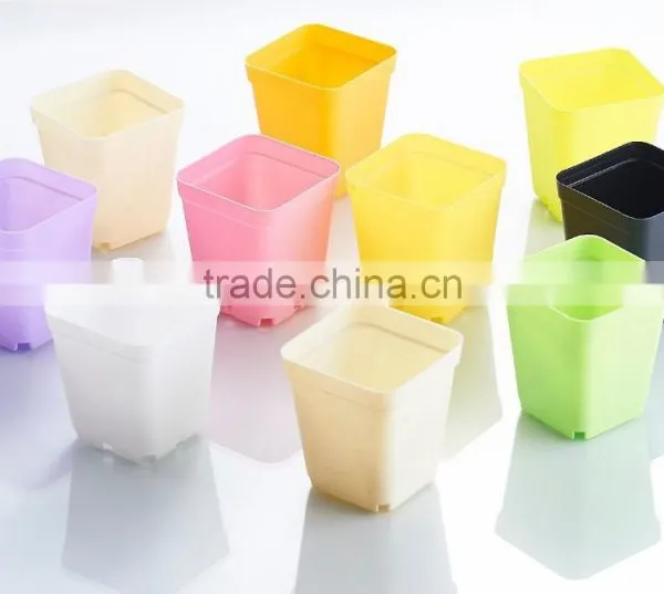 Plastic Colorful Small Square Flower Pots Without Pallet -3 Inch photo-4
