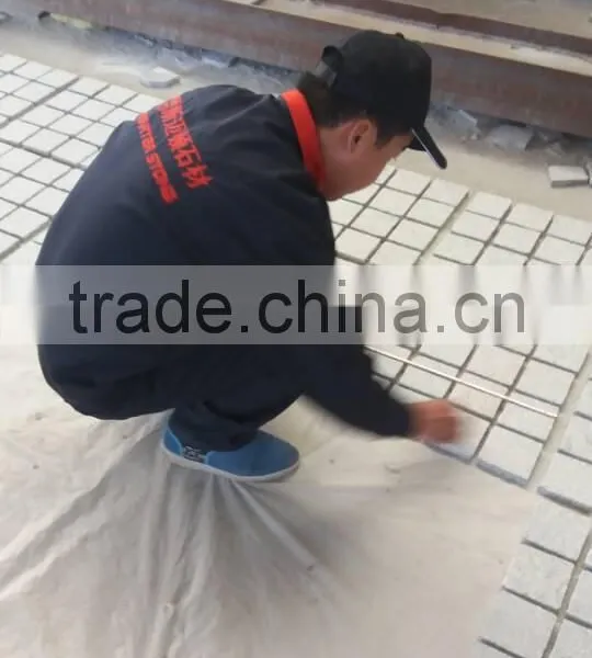 Cheap Paving Stone White Granite Paver Granite Paving Stone for Driveway photo-5