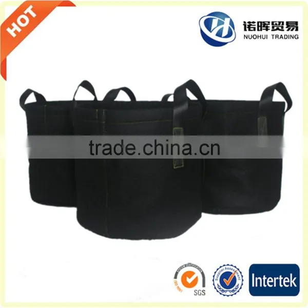 Oyster Mushroom Grow Bag photo-2