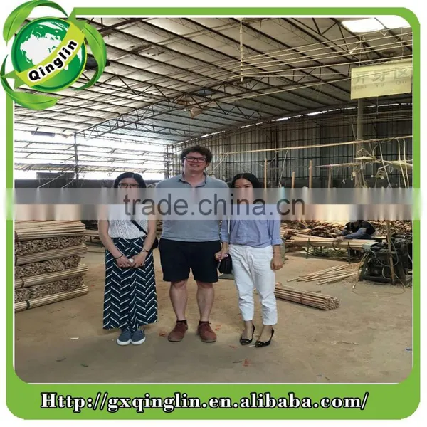 Wooden Broom and MOP Holder Poplar and LVL Wood Handle Stick Fsc Certifiedcustomized photo-6