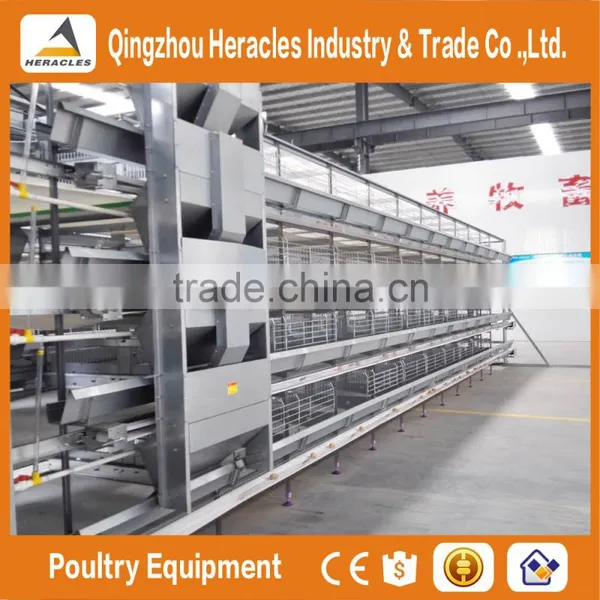 Trade Assurance Automatic Poultry Equipment/layer Chicken Cage photo-5