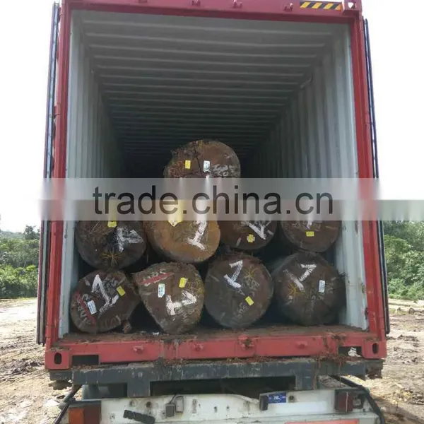 Suriname MKB / Maka Kabbes Log photo-4
