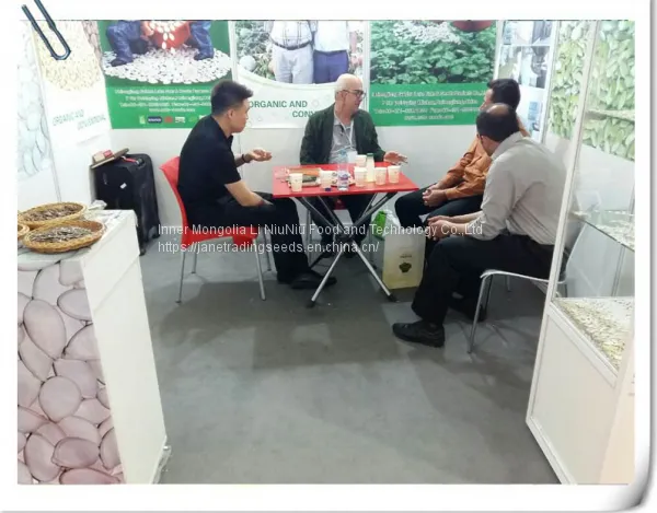 High Quality Chinese Striped Sunflower Seeds 601 photo-3