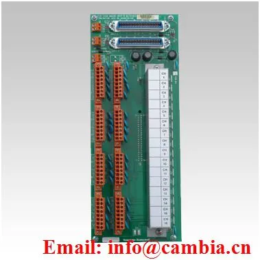 Honeywell TC-IAH161 AI 16 Module (single or 8 Diff.), CIOM-A photo-2